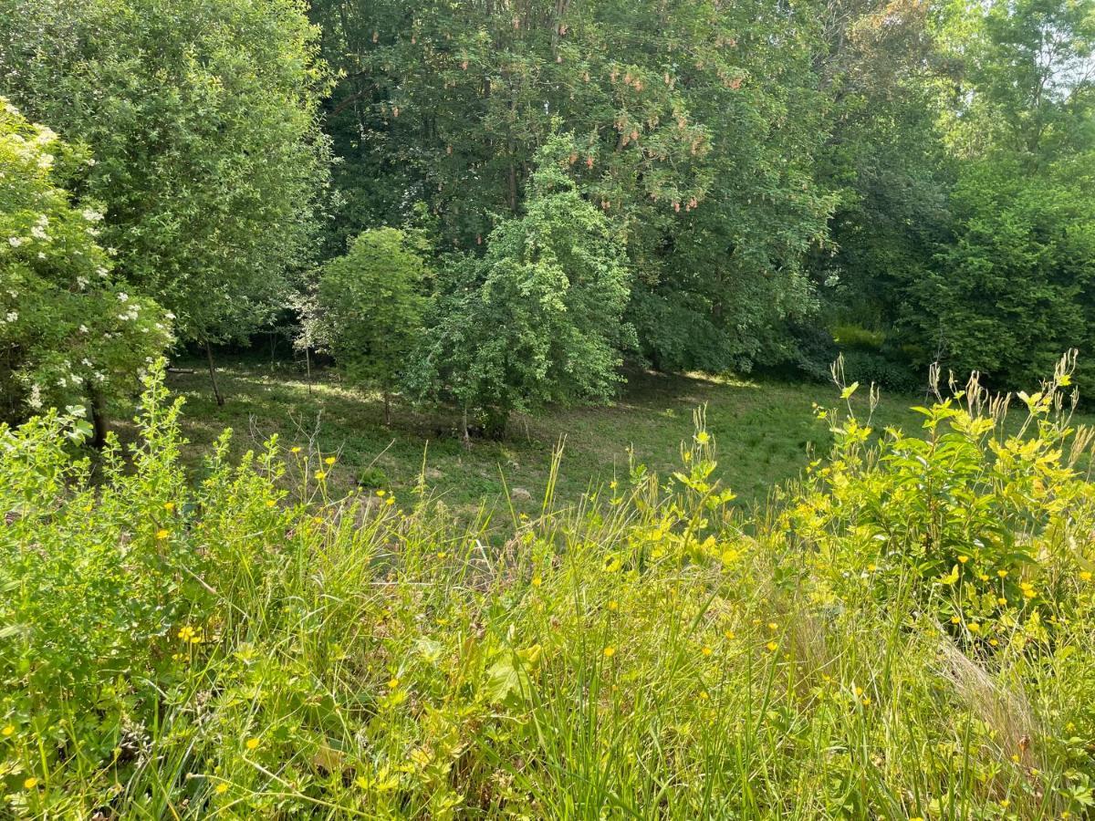 La Canopee Des Arbres, Anna Ellezelles Exterior foto